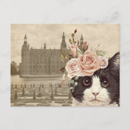 Finare Cat & Castle Vykort