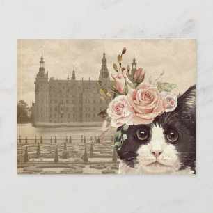 Finare Cat & Castle Vykort