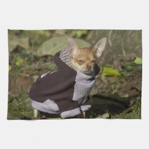Finare Chihuahua Kökshandduk