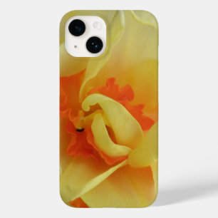 Finare Daffodil