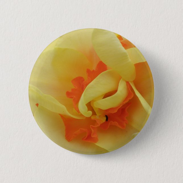 Finare Daffodil Button Knapp (Framsida)