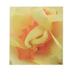 Finare Daffodil Daffodil Anteckningsblock