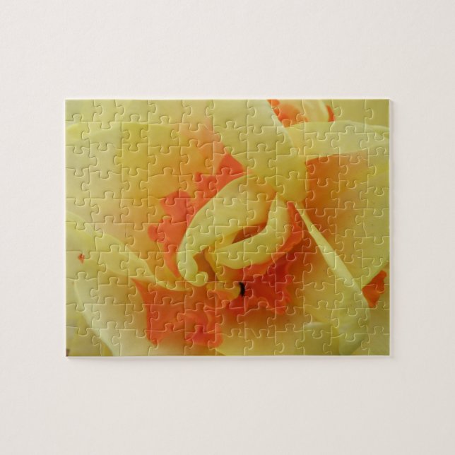 Finare Daffodil Puzzle Pussel (Horisontell)