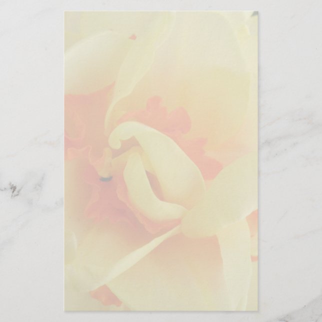 Finare Daffodil Stationery Brevpapper (Framsida)