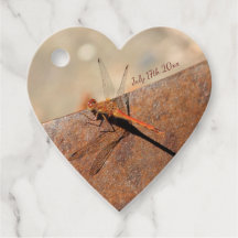 Finare Dragonfly Bröllop