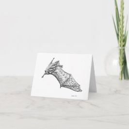 Finare Fladdermus: M. lucifugus vinge-bräckkort Kort