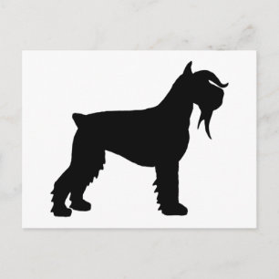 Finare Giant Schnauzer Vykort