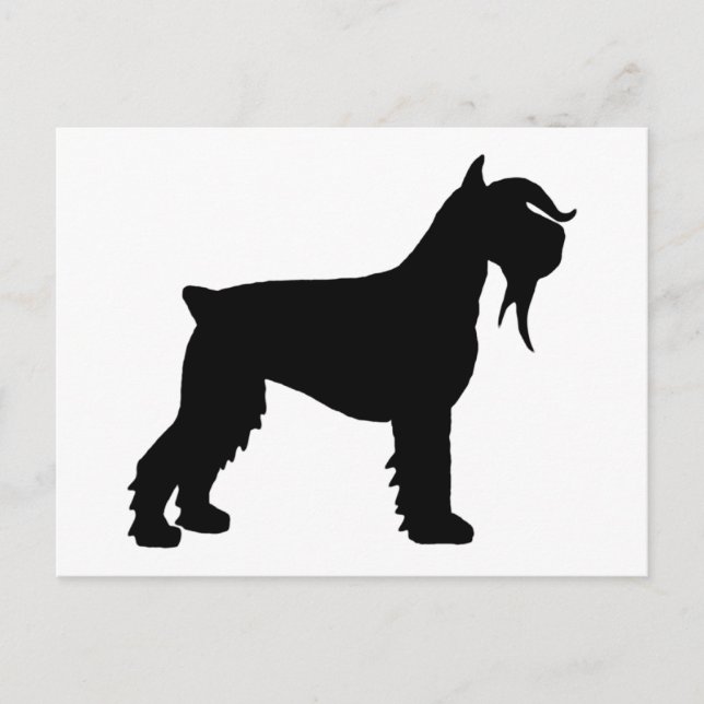 Finare Giant Schnauzer Vykort (Framsida)