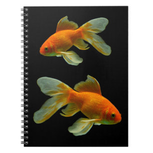 Finare Goldfish på den svarta bärbara datorn Anteckningsbok Med Spiral