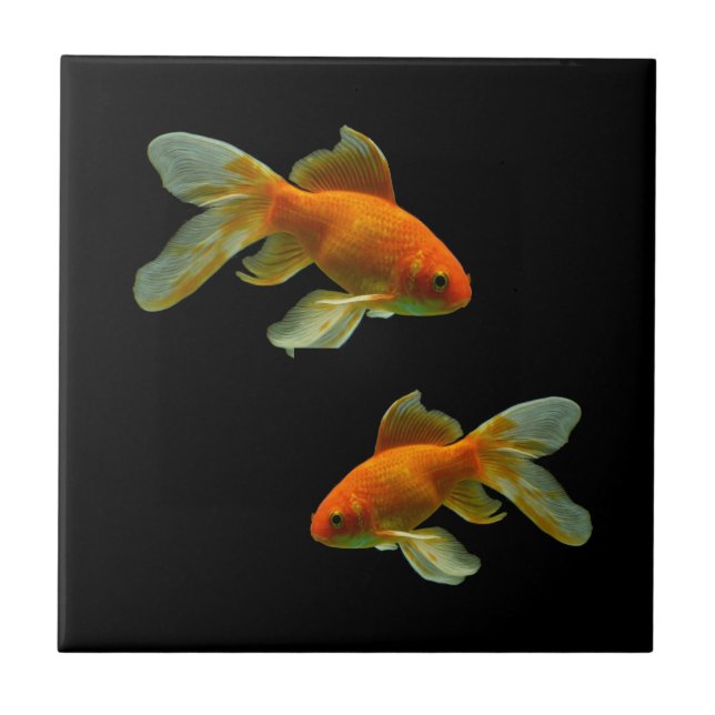 Finare Goldfish Tile Kakelplatta (Framsidan)