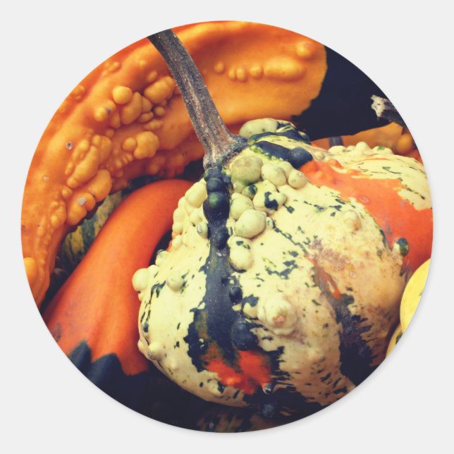 Finare Gourds Nature Runt Klistermärke (Framsida)