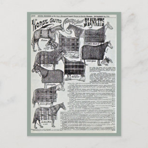Finare Horse Blankets Vykort