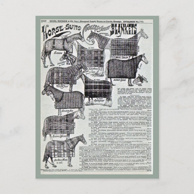 Finare Horse Blankets Vykort (Framsida)