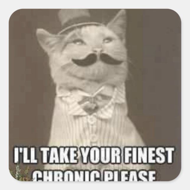 finare-kattdekal fyrkantigt klistermärke (Framsida)