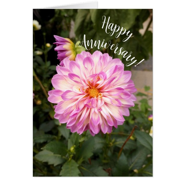 Finare-Lila och vita Dahlia-årskort Hälsningskort (Framsidan)