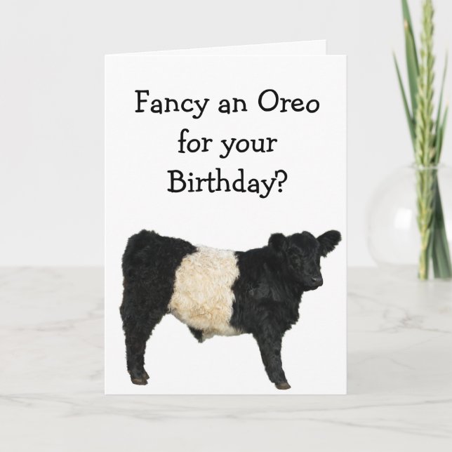 Finare och Oreo? Bägge Galloway Cow Kort (Framsida)