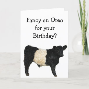 Finare och Oreo? Bägge Galloway Cow Kort