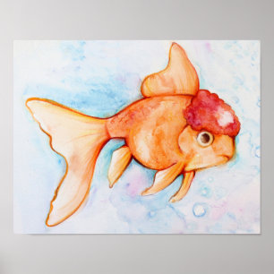 Finare Oranda Goldfish Poster