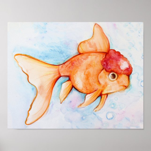Finare Oranda Goldfish Poster (Framsidan)