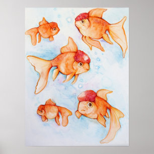 Finare Oranda Goldfish Poster