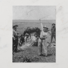 Finare Roping Vykort