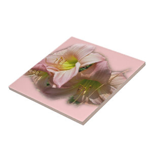 Finare Rosa Daylilies Kakelplatta