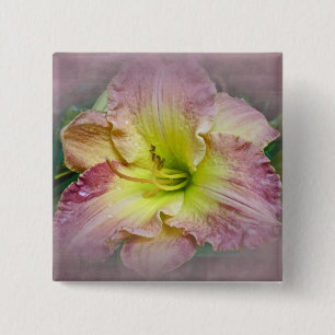 Finare Rosa Daylily Blommar Knapp