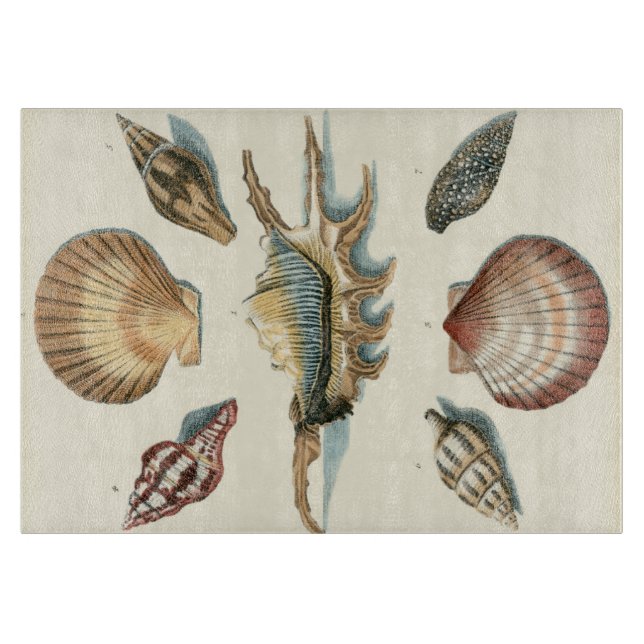 Finare Snäcka Beach (Framsidan)