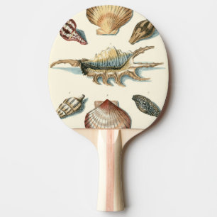 Finare Snäcka Beach Pingisracket