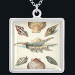 Finare Snäcka Beach Silverpläterat Halsband<br><div class="desc">George Wolfgang Knorr är känd för den känsliga detaljen och exaktheten i hans illustrationer av snäckor och svält. Hans teckning påverkades av sitt eget intresse för vetenskap,  en populär subjekt-fråga av sin tid.</div>
