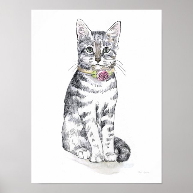 Finare Tabby katt Poster (Framsidan)