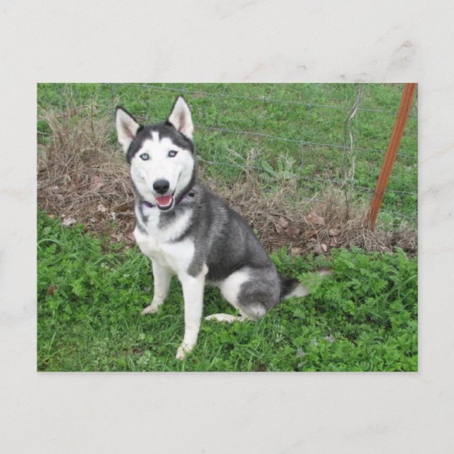 Finare Vykort (Framsida)