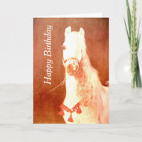 Finare White Circus Pony Vintage Gypsy Stil