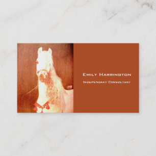 Finare White Circus Pony-Vintagen Gypsy Stil Visitkort