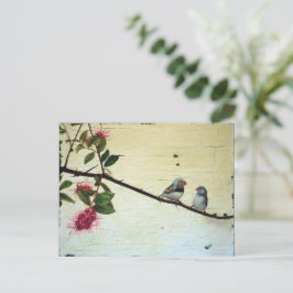 Finch Conversation Postcard Vykort