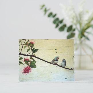 Finch Conversation Postcard Vykort