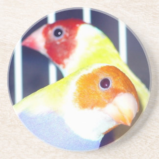 Finch för dam Gouldian Underlägg Sandsten