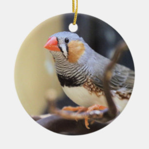 Finch Julgransprydnad Keramik