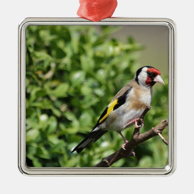 FInch Julgransprydnad Metall (Framsidan)