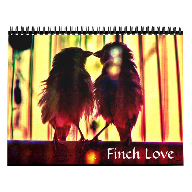 Finch Kärlek Kalender (Omslag)