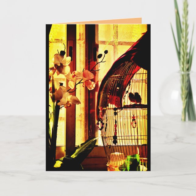 Finch Kärlek Kort (Framsida)