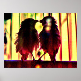 Finch Kärlek Poster
