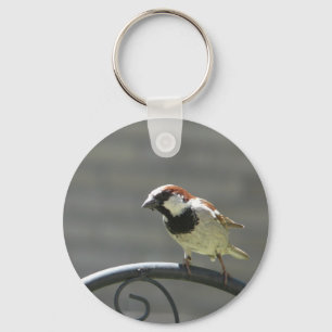 finch nyckelring