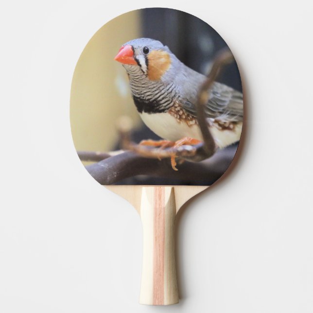 Finch Pingisracket (Framsidan)