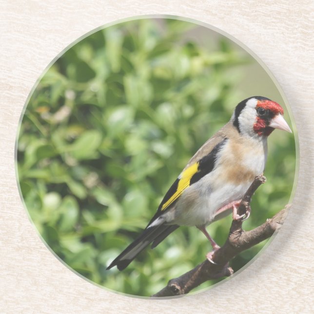 FInch Underlägg Sandsten (Framsidan)