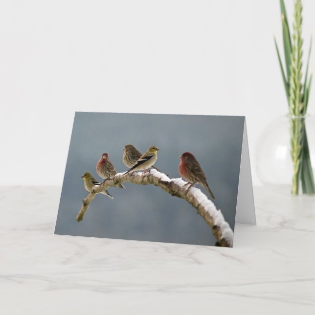 Finchesjulkort Helgkort (Framsida)