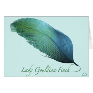 Finchsvan för dam Gouldian Hälsningskort