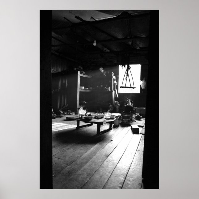 Find the Cat! Poster (Framsidan)