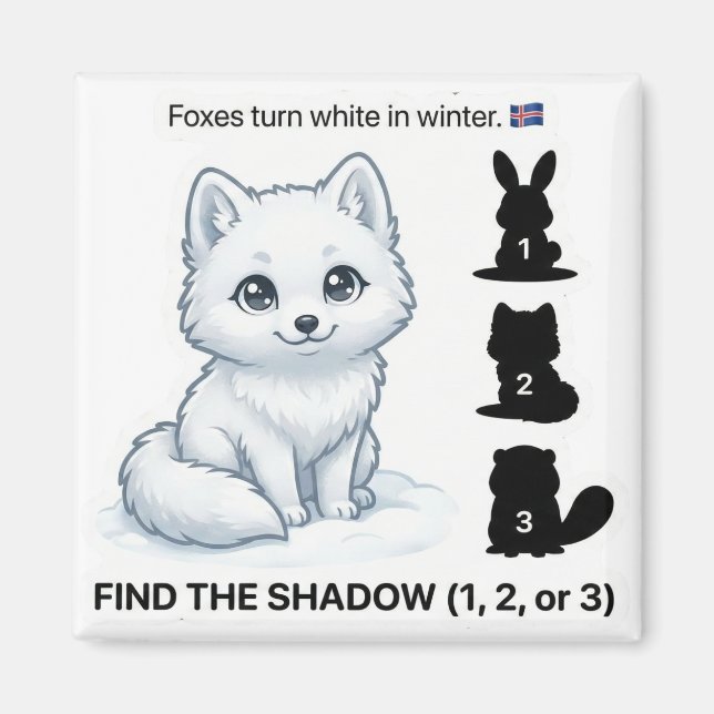 Find the Shadow – Arctic Fox Learning Magnet (Framsidan)