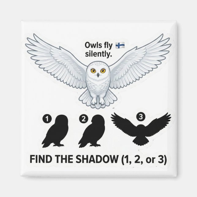 Find the Shadow – Snowy Owl Learning Magnet (Framsidan)